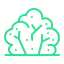 Bush icon