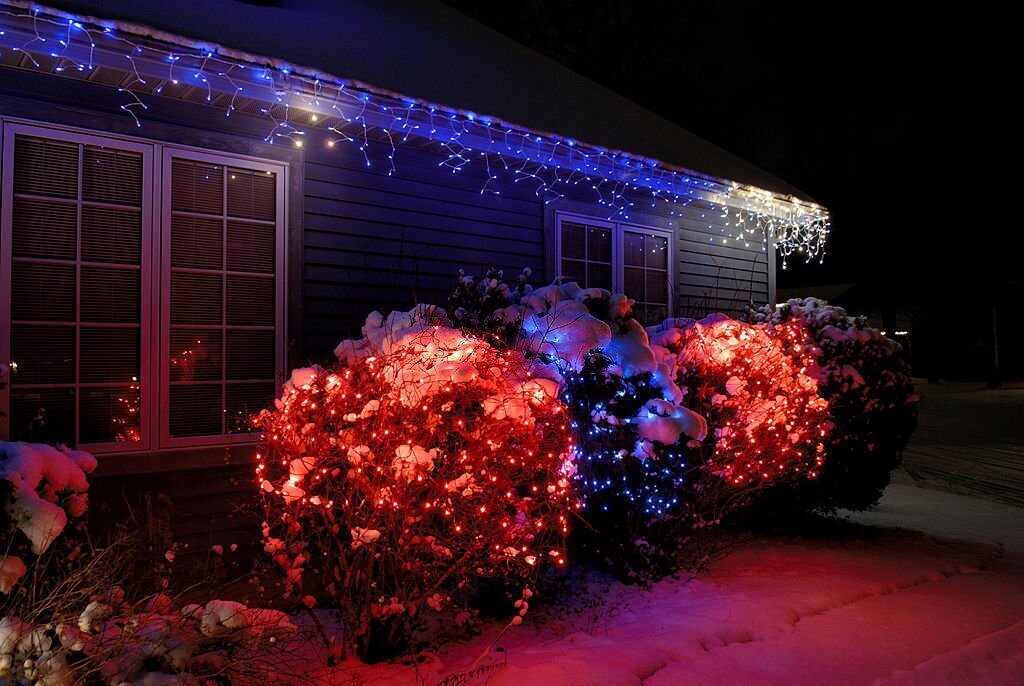 Christmas lights on bushes and shrubs
