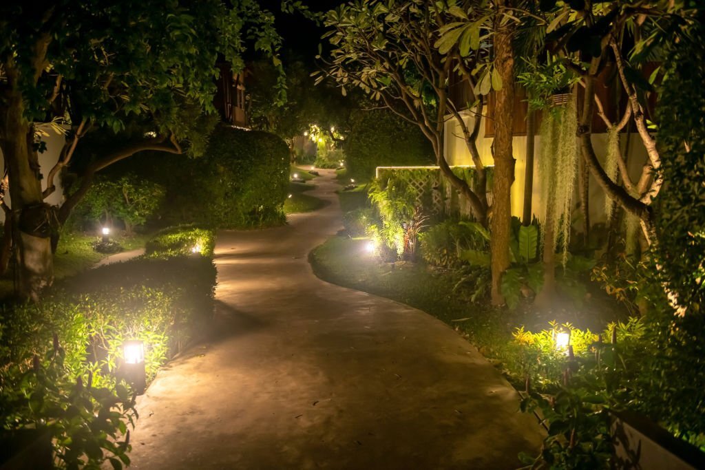 Landscape lighting on trees and bushes