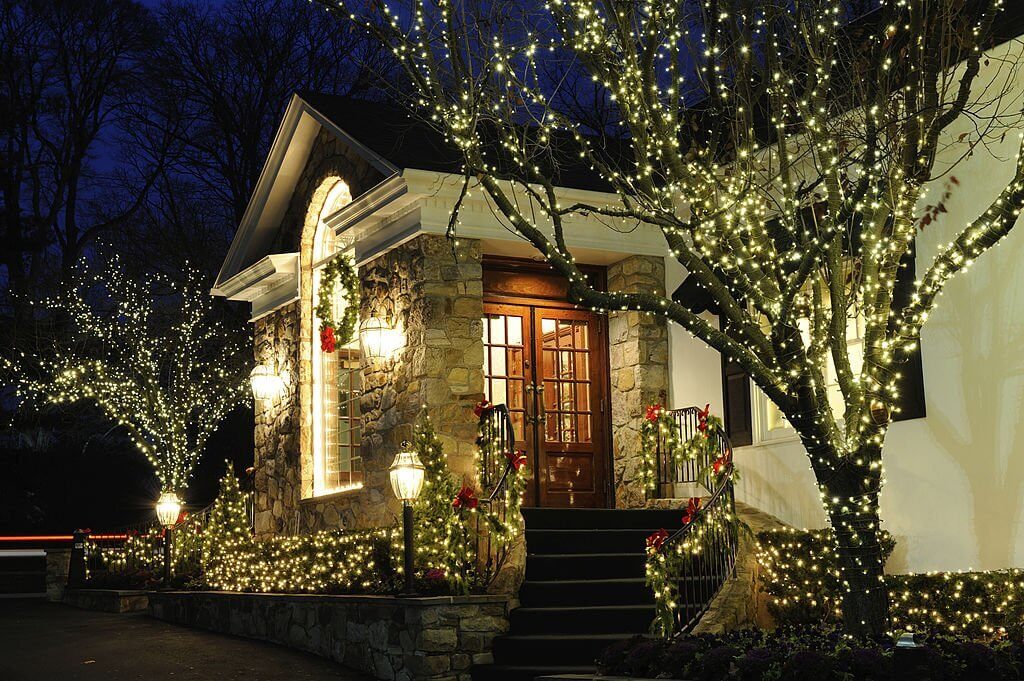 Christmas lights wrapped on trees